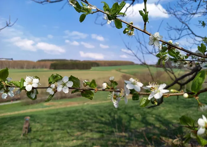 Holiday home Sinneswandel Sehmatal