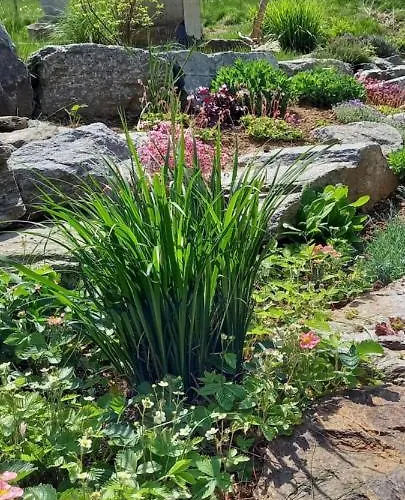 Holiday home Sinneswandel *