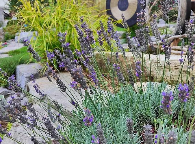 Sinneswandel Holiday home *