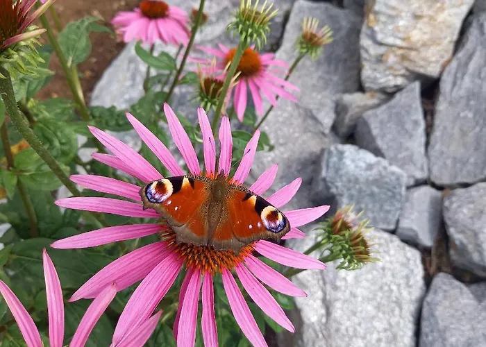 Holiday home Sinneswandel